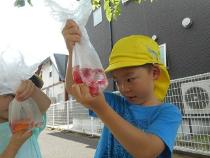 水の色がどんどん赤くなってきた様子