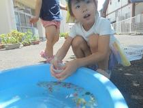 氷の変化を観察している