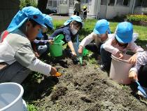 田んぼの土を集めている