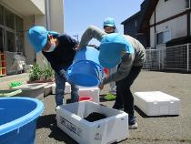 バケツに入っていた土を移し替えている