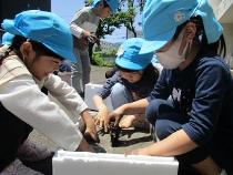 土の感触を体験している