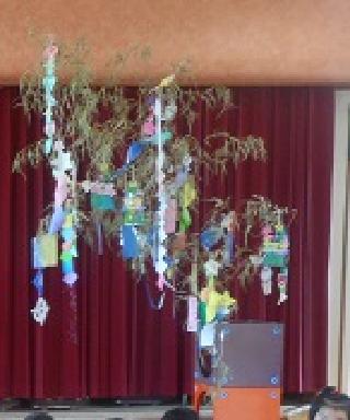 短冊や七夕かざりが付けられた笹