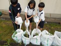 苗を植えて水やりをしています