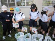 手作りの看板を立てています