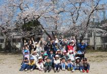 桜の木の下でばんざいをしています