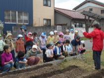 畑で説明を聞く子どもたち