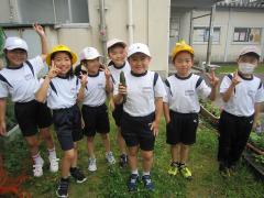 きゅうりの収穫をしました