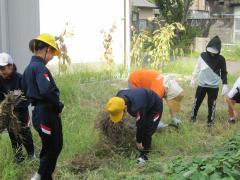 草むしりをしました