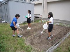 水やりをしています