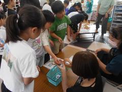 買い物ごっこをしています