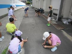 ソーラーカーを走らせています