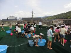 水遊びをしています