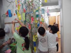 短冊をかざっている