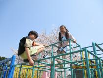 ジャングルジム