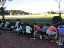 雑草を抜いています