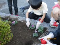 土をかぶせています