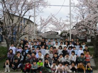 満開の桜の下で集合写真