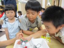 備長炭を使った電池作り