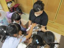 動物とふれあっています