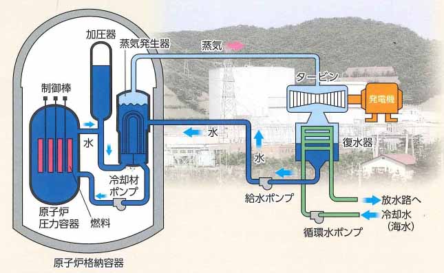 敦賀2号機の略式図