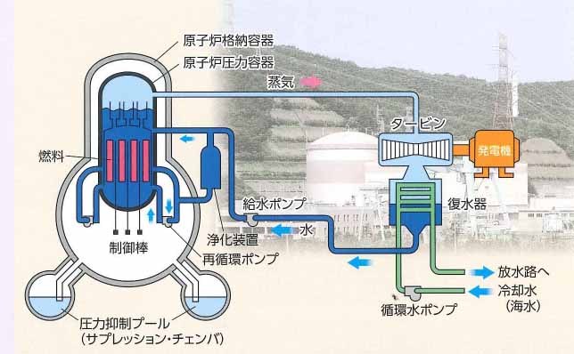 敦賀1号機の略式図