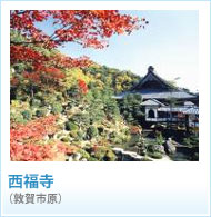 西福寺の画像