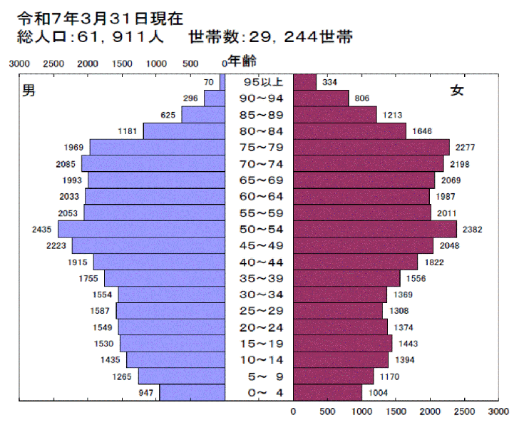 令和7年人口ピラミッド図