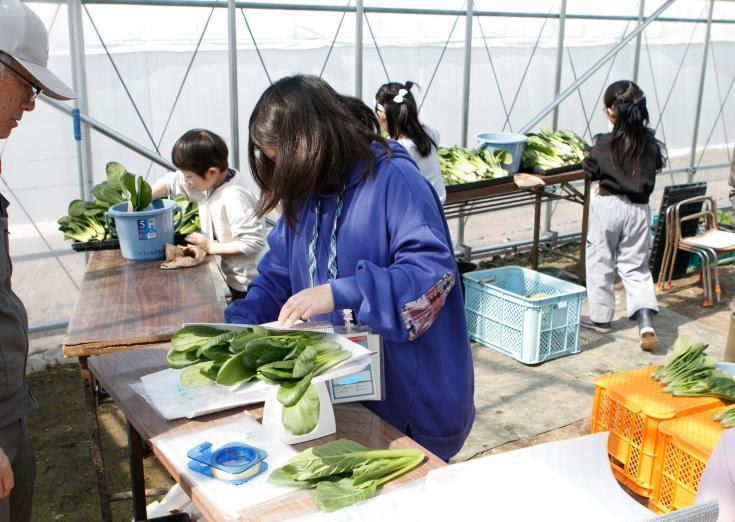 農家体験の様子