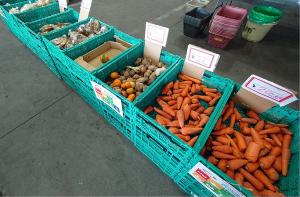 ロス野菜コーナーの写真