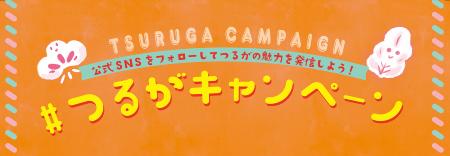 キャンペーン第8弾